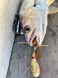 **BEST SELLER** SECRET LURES-Our deadliest lures, all in one pack